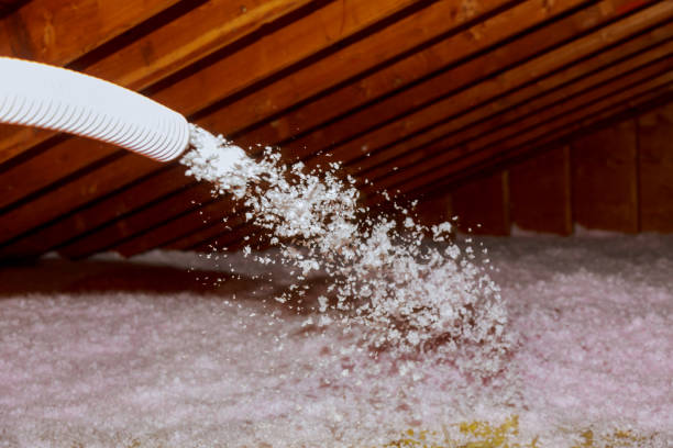 Best Specialized Insulation Services in Auburn, IL