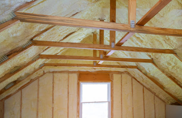 Best Geographic-Specific Insulation Services in Auburn, IL