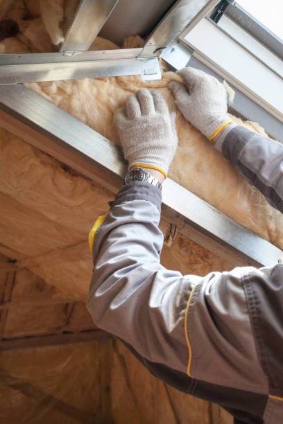 Types of Insulation We Offer in Auburn, IL
