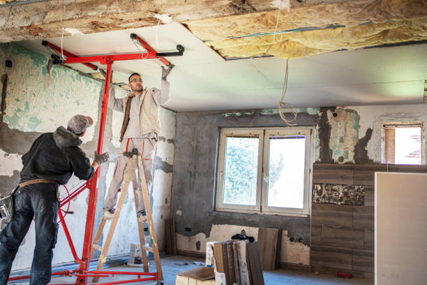 Best Blown-in Insulation in Auburn, IL