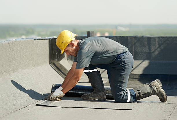 Professional Insulation Contractor in Auburn, IL