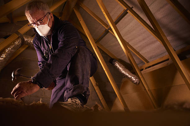 Best Residential Insulation in Auburn, IL