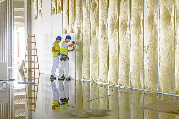Best DIY Insulation Kits and Guidance in Auburn, IL